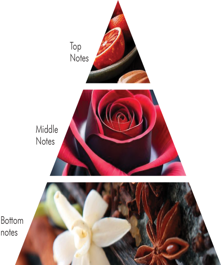 Aroma Delivery System